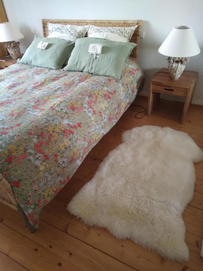 Le Fied Les Dames De La Saugiat Bed & Breakfast エクステリア 写真