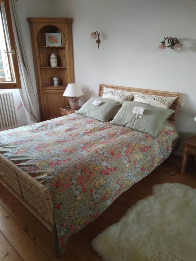 Le Fied Les Dames De La Saugiat Bed & Breakfast エクステリア 写真